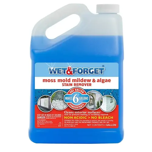 Wet & Forget Outdoor - Mold, Mildew, Stain Remover Concentrate 1-Gallon Blue