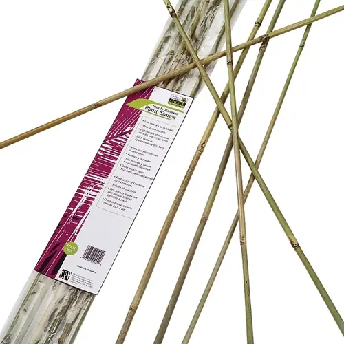 6 Ft. Natural Bamboo Heavy-Duty Plant Stake - pack of 6