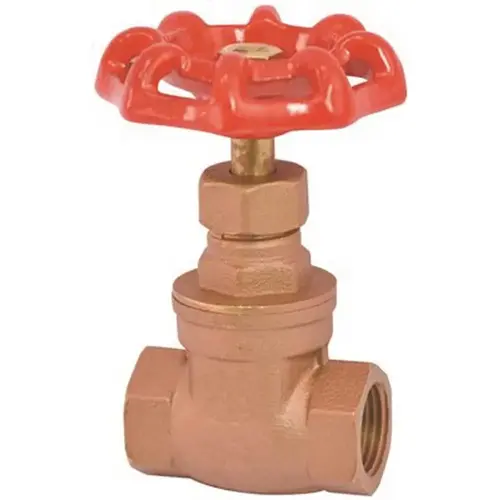 Brass 1/2 in. FIP x FIP Gate Valve