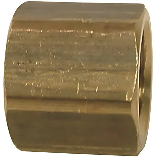 1/4 in. Brass FPT Cap 1/4 in. Brass FPT Cap