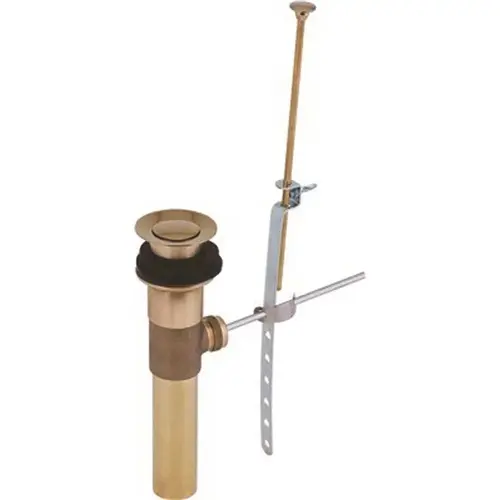 Pop-Up Assembly in Brass Chrome