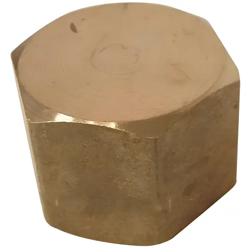 1/2 in. Brass FPT Cap 1/2 in. Brass FPT Cap