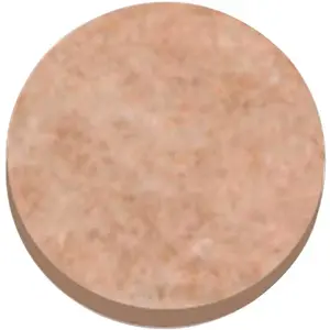 Master MAS88496 1 in. Dia Felt Pads BEIGE - pack of 16