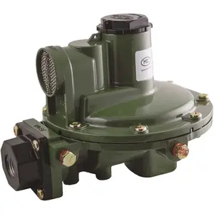 Excela-Flo MEGR-1652-CFF MEC Full Size Back Mount Second Stage 1/2 in. FNPT Inlet x 3/4 in. FNPT Outlet - 11 in. WC Outlet