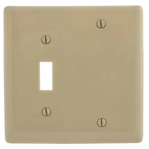 Standard 2-Gang Toggle Switch/Blank Nylon Wall Plate (Ivory) Standard 2-Gang Toggle Switch/Blank Nylon Wall Plate (Ivory)