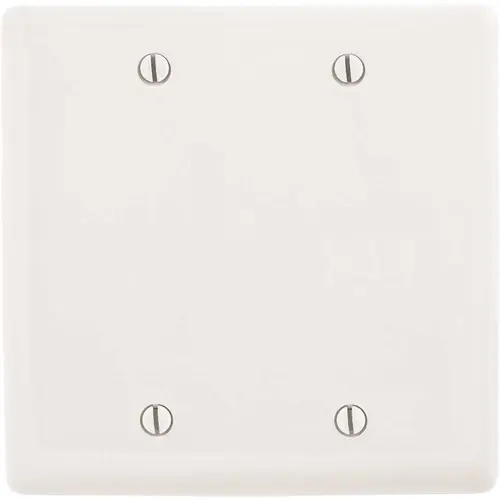 2-Gang White Box Mount Blank Wall Plate 2-Gang White Box Mount Blank Wall Plate