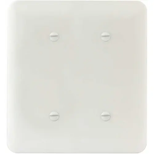 White Smooth 2-Gang Blank/Blank Princess Metal Wall Plate - pack of 10 White Smooth 2-Gang Blank/Blank Princess Metal Wall Plate - pack of 10