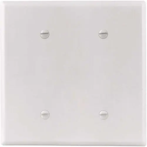 White Smooth 2-Gang Blank Standard Metal Wall Plate - pack of 10 White Smooth 2-Gang Blank Standard Metal Wall Plate - pack of 10