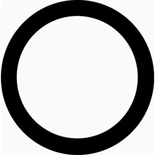 PRECISION-MOLDED O-RING #36