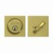 Satin Brass