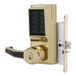 Bright Brass