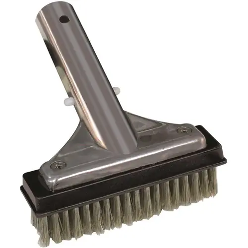 5 in. Stainless Steel Bristle Swimming Pool Brush for Algae Removal