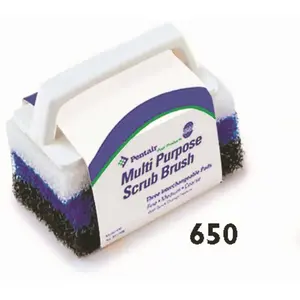 Rainbow RAI-40-2061 Pool Multi-Purpose Scrubber with 3-Pads