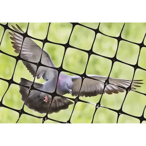 100 X 14 Ft Structural Polyethylene Bird Netting 100 X 14 Ft Structural Polyethylene Bird Netting