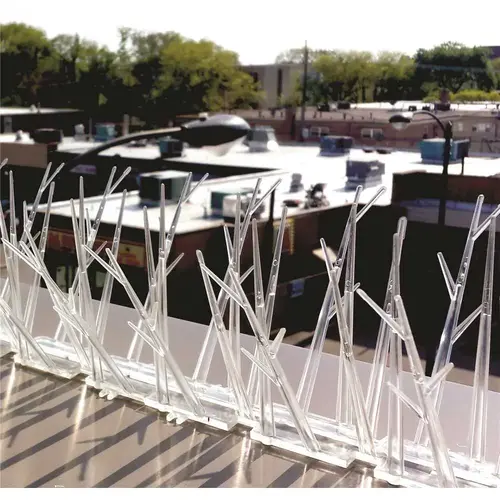 25 ft. Original Plastic Bird Spikes Coverage Pigeon Bird Repellent