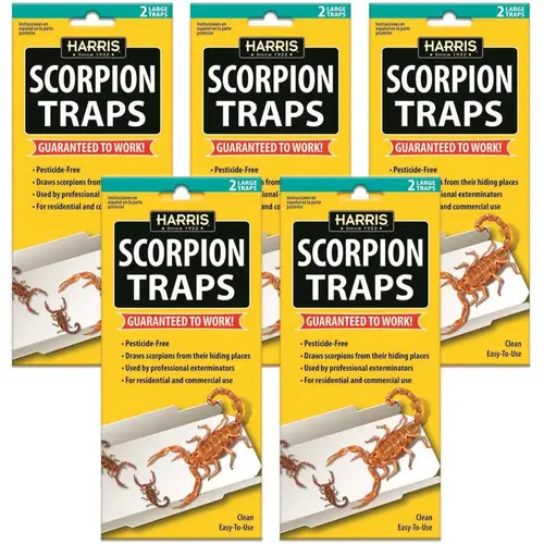 Scorpion Glue Trap White Scorpion Glue Trap White