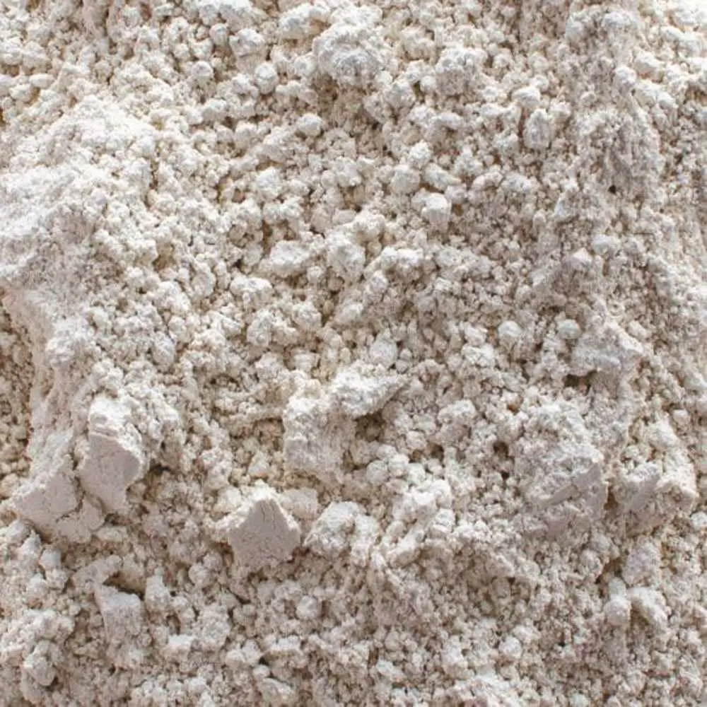 National Brand Alternative General Filtration DE Filter Powder 25 lb Bag AAA-06-202 National Brand Alternative General Filtration DE Filter Powder 25 lb Bag AAA-06-202