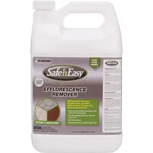 Safe 'n Easy 0910 1 Gal. Efflorescence Remover - pack of 4