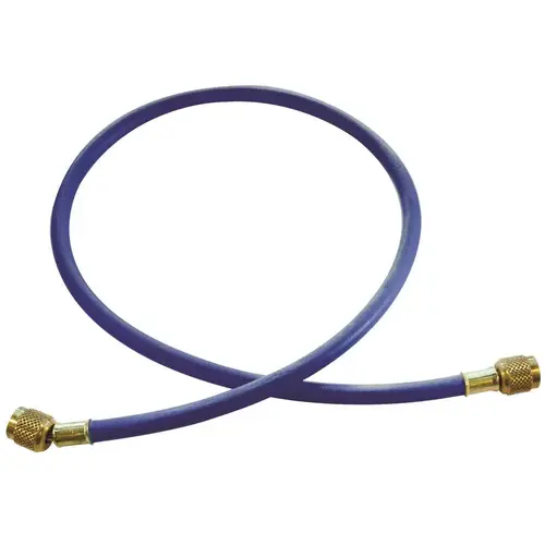 Single Standard Blue Hose 60 in