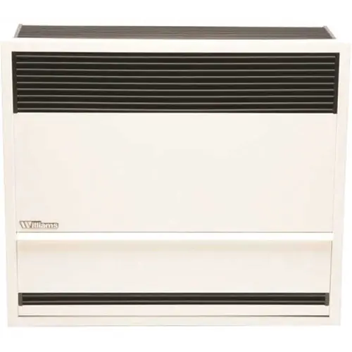 30,000 BTUH 66% AFUE Direct-Vent Propane Gas Gravity Wall Heater White