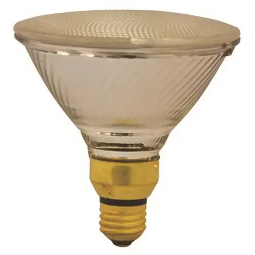 60-Watt PAR38 Halogen Light Bulb 60-Watt PAR38 Halogen Light Bulb