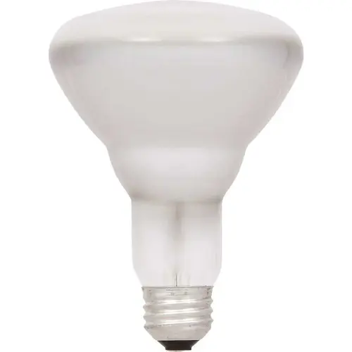 50-Watt BR30 Flood and Spot Halogen Light Bulb 50-Watt BR30 Flood and Spot Halogen Light Bulb