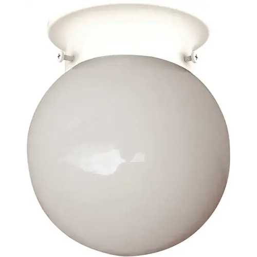 1-Light White Flushmount Color/Finish Family