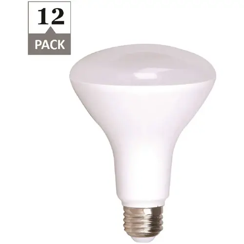 100-Watt Equivalent R40 Dimmable Warm White 25000-Hour LED-Light Bulb - pack of 12 100-Watt Equivalent R40 Dimmable Warm White 25000-Hour LED-Light Bulb - pack of 12