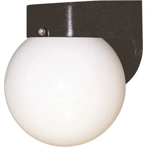 Wall Mount Outdoor Globe Lantern