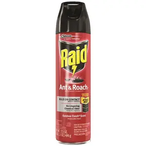 RAID 617736 17.5 oz. Ready-to-Use Ant and Roach Killer Clear