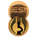 Bright Bronze Clear Coated
