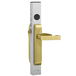 Satin Brass