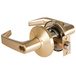 Satin Brass