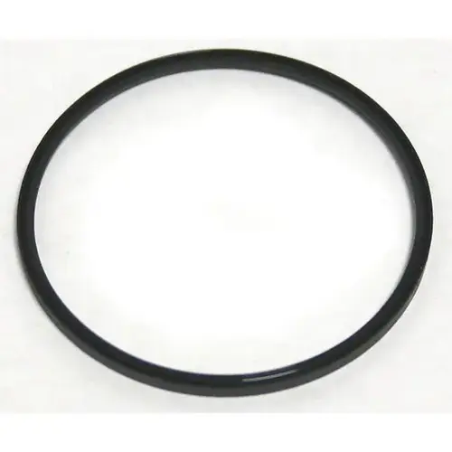 Air Cap Seal, Use With: SATAjet 100 B, SATAjet 1000 K Air Cap Ring