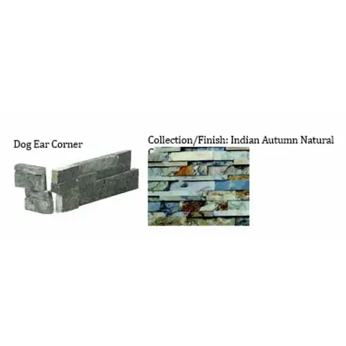 Dog Dog Indian Autumn Dogear Corner