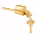 Brushed Brass