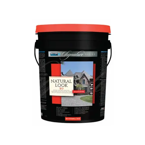 1 Gal Signature Series Natural Look Sealer