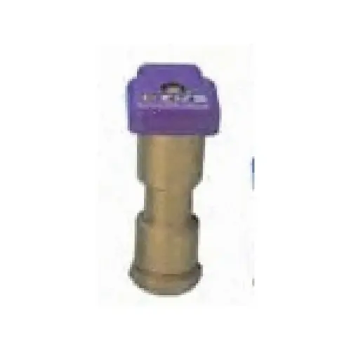 1" 1-piece Single Lug Quick Coupler Valve With Vinyl Locking Cover