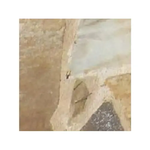 Multicolor Thick Flagstone Slab Brown Okla Quarried Multicolor Thick Flagstone Slab Brown Okla Quarried