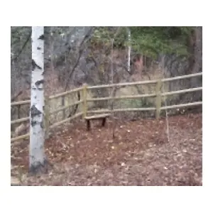 AFFILIATED RESOURCES 2X12 LODGE POLE 2"x12' Acq Treated