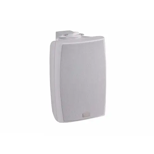 100w 5.25" 2-way Surface Mount Speaker