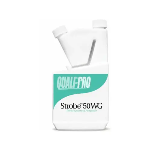 Quali-pro 1# Strobe 50wg Fungicide Quali-pro 1# Strobe 50wg Fungicide