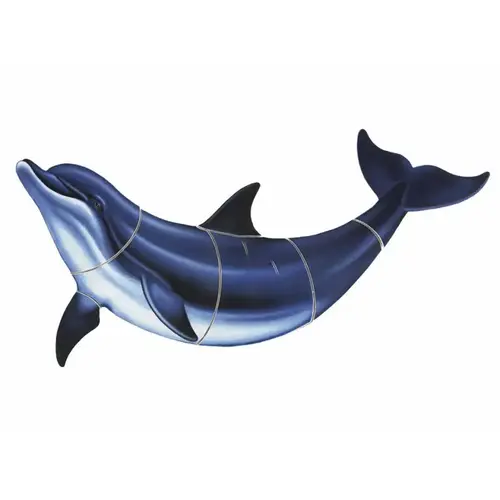 Bottlenose Dolphin -b 18"x8" Bottlenose Dolphin -b 18"x8"