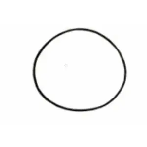 ECO-MATIC M1222 Esc Salt Chlorinator Cable Gland Oring