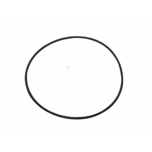 Magic Plastics 0301-154 O-ring, 2? Swing-spring Check Valve Red