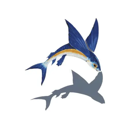 Shadow Fich Custom Mosaics PORC-FF13/SH Shadow Flying Fish-a 7