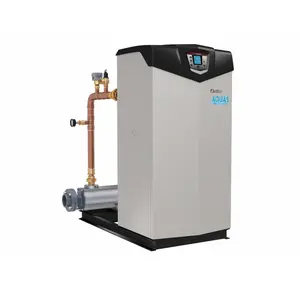 LOCHINVAR CORPORATION 100284845 Aquas Natural Gas Energy Efficient Indoor Heater 400k Btu