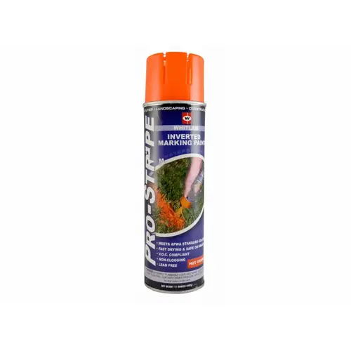 Inverted Marker Paint - 17oz Can