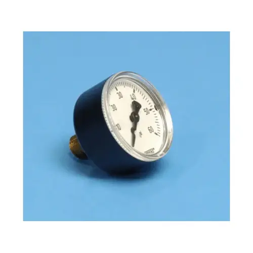 2" 60 Psi 111.12 Series Specialty Gauge Black