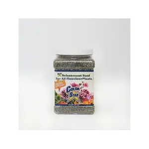 ColorStar COLOR STAR 4 Star 4 Star 4 Nelson 19-13-6 4#